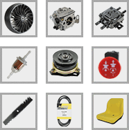 Popular Products
